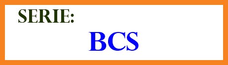 &nbsp;SERIE: BCS