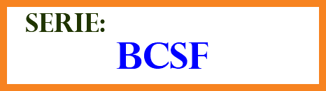 &nbsp;SERIE: BCSF